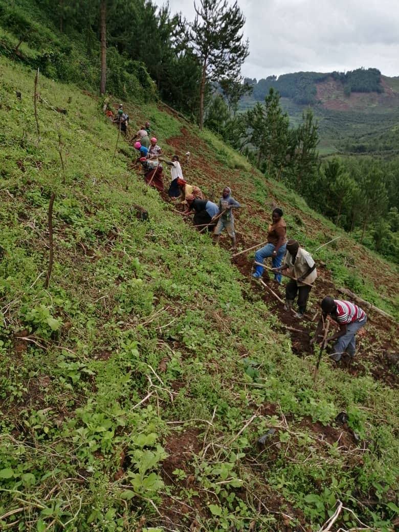 People working on a cultivated hillside during field activity