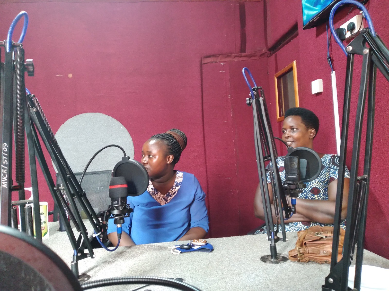 Researchers participating in a radio discussion